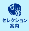 セレクション案内