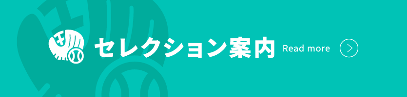 セレクション案内