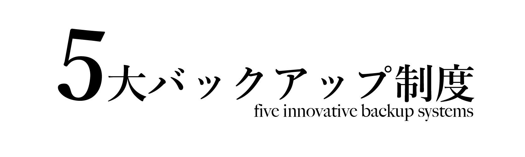 5大バックアップ制度