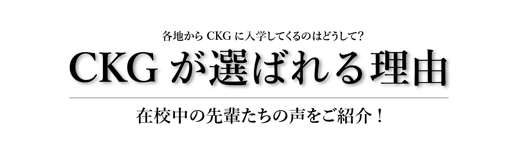 選ばれる理由